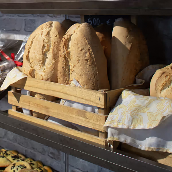 Pane