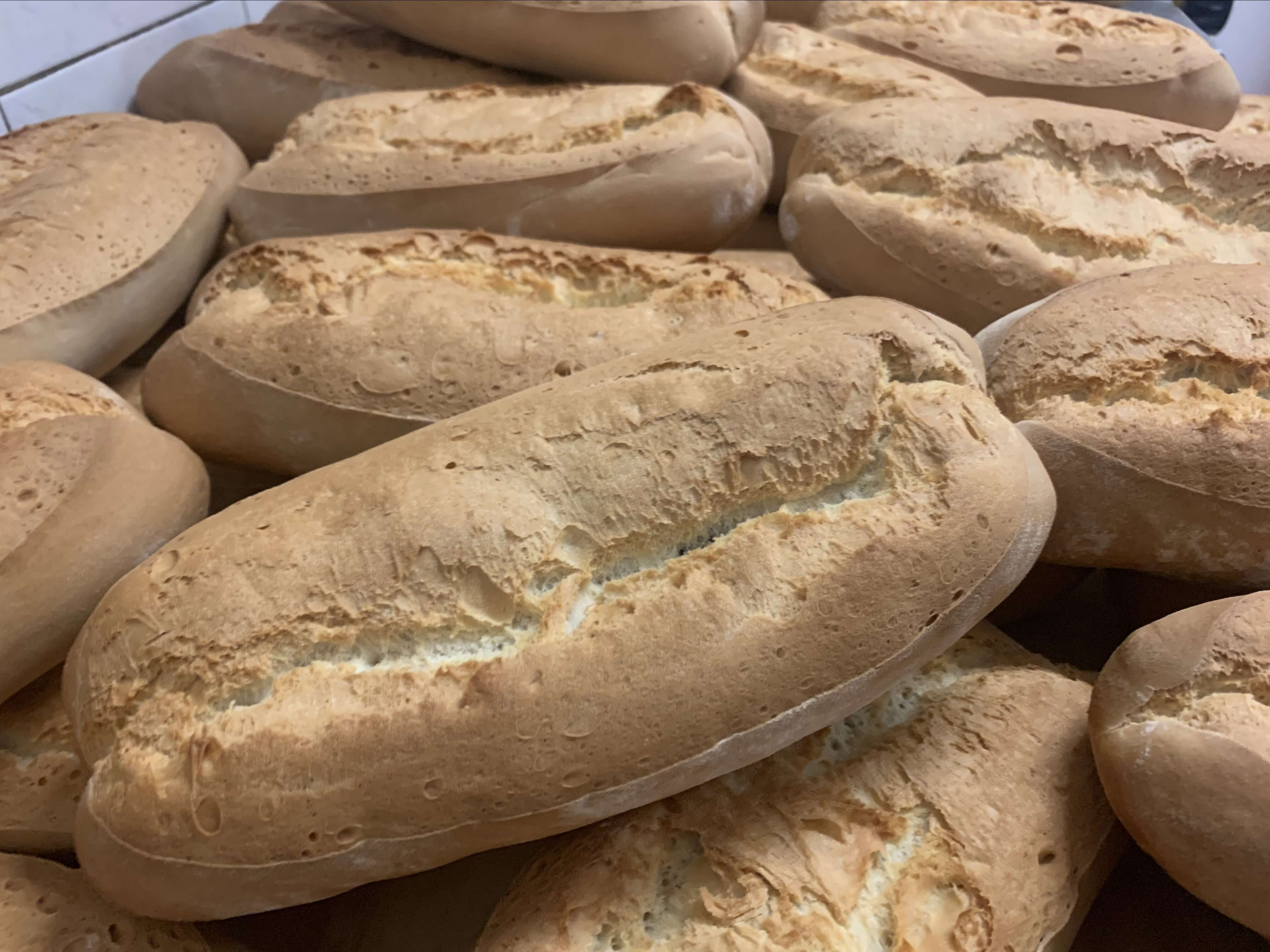 Pane